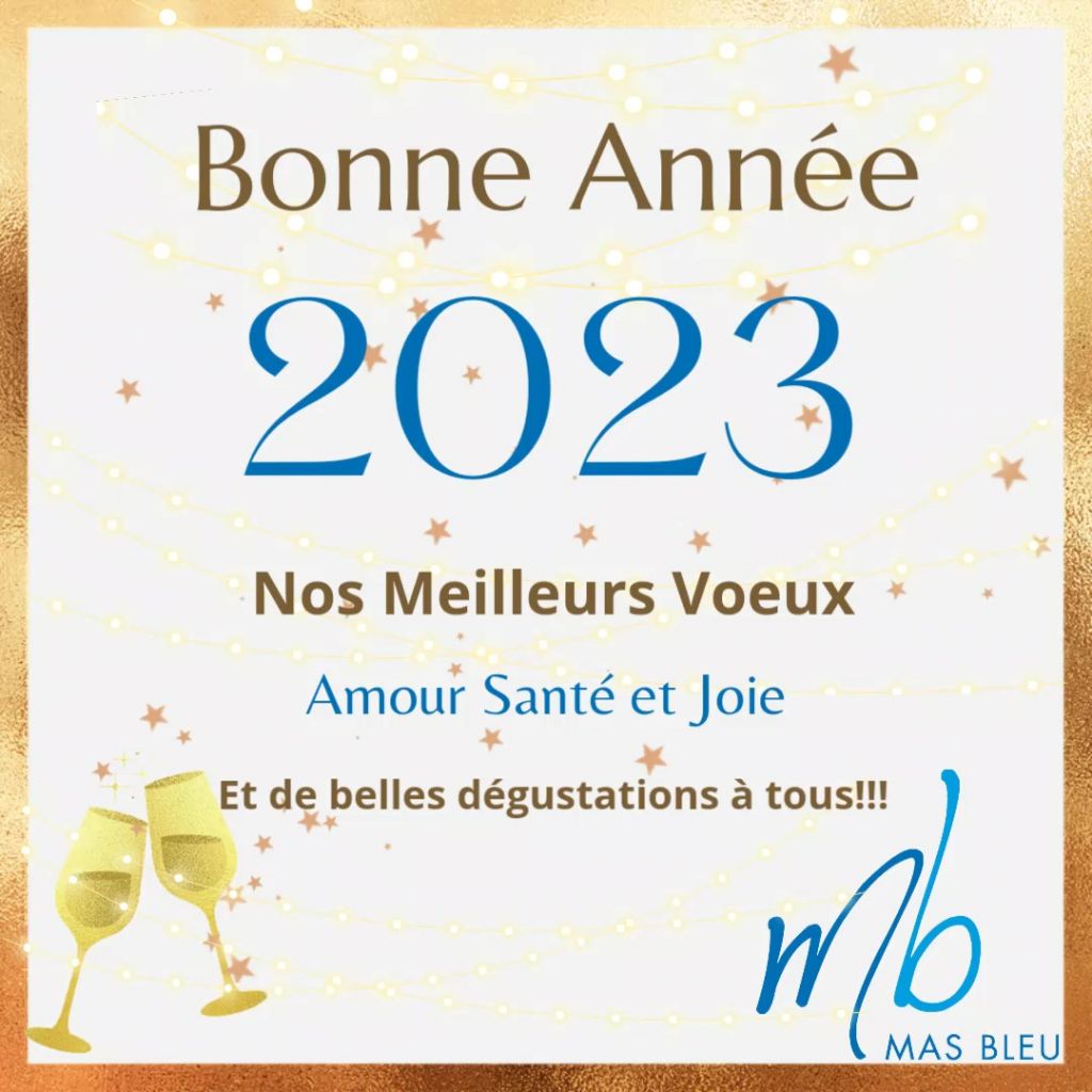 bonne année photo